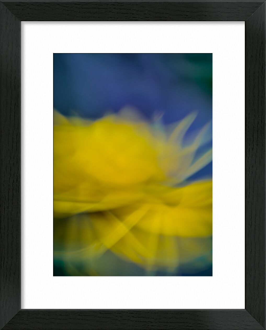 La fleur jaune de Céline Pivoine Eyes, Prodi Art, nature, jaune, violet, plante, Fleur jaune, ICM, Mouvement intentionnel de la caméra, flou artistique, art abstrait, Photographie abstraite, fleurs