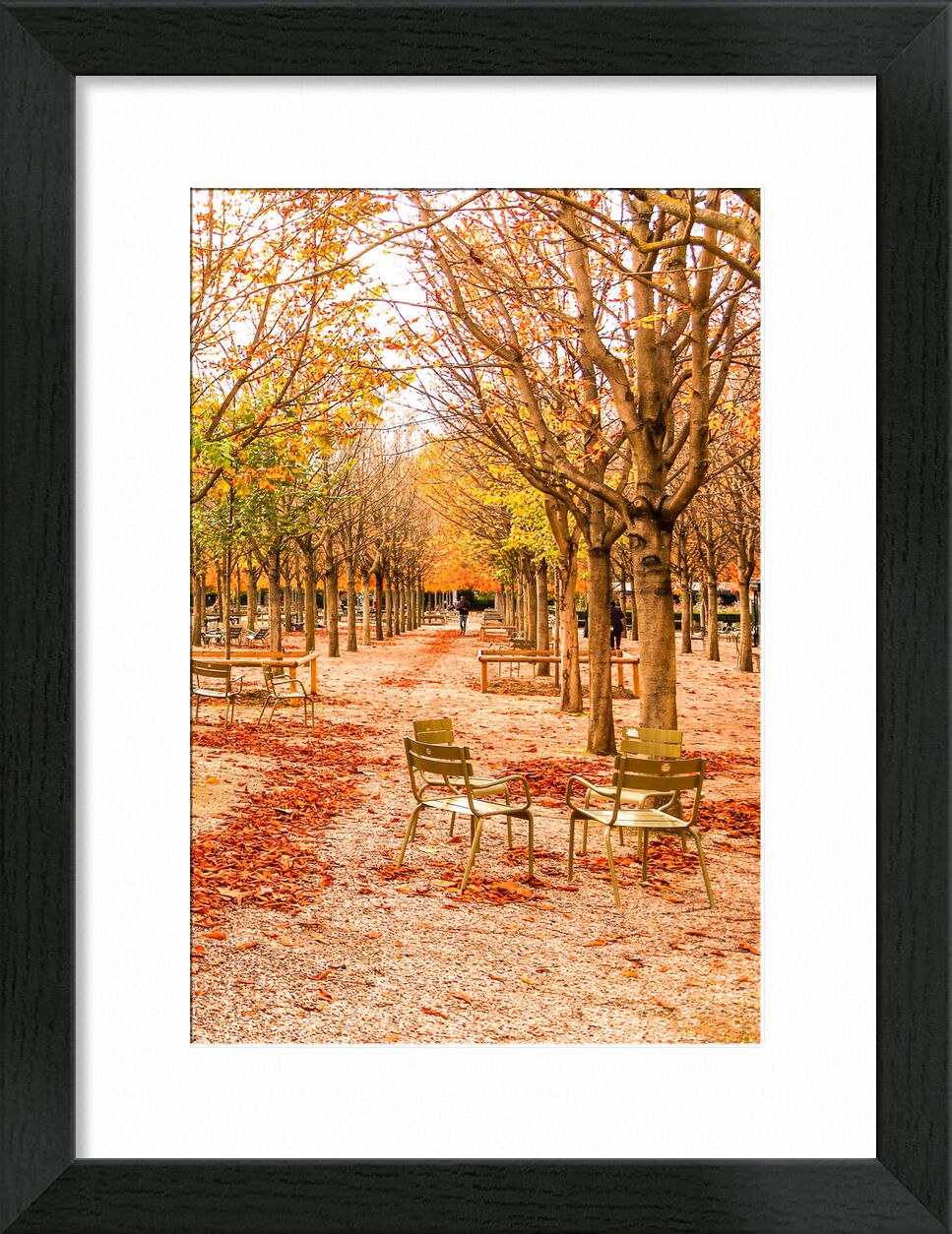 Luxembourg Gardens, Paris de Octav Dragan, Prodi Art, franţa, paris, frunze, toamnă
