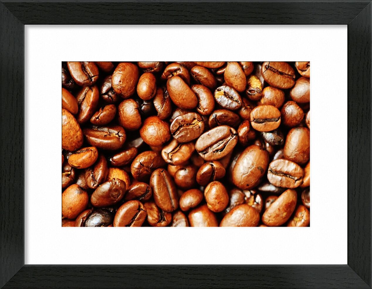 Nos grains de café de Pierre Gaultier, Prodi Art, rôti, grains de café, café, caféine, marron