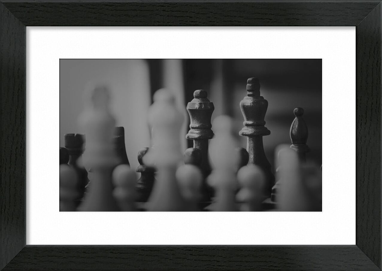 The part from Aliss ART, Prodi Art, chess pieces, queen, pawn, mind game, knight, king, game, chessboard, chess, board game, strategy, black-and-white