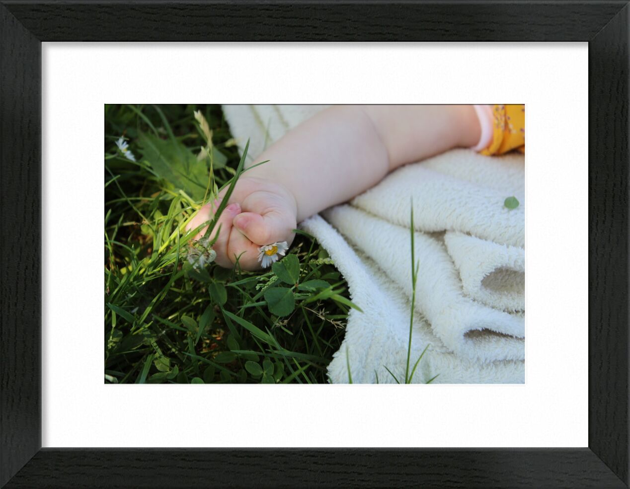Petite main dans l'herbe de jenny buniet, Prodi Art, fleur, nature, bébé