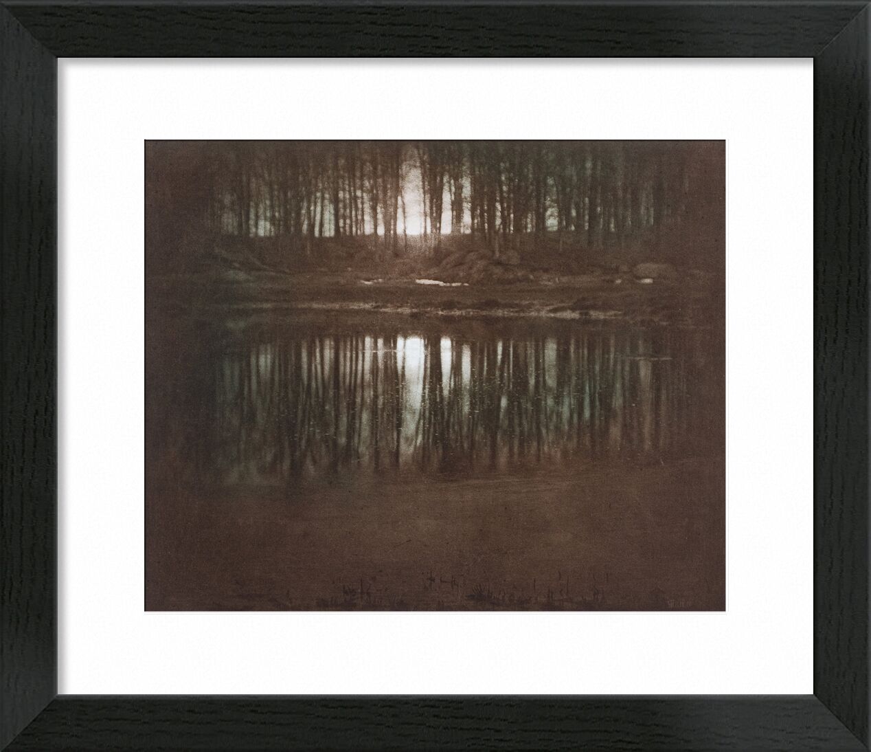The Pond—Moonlight -Edward Steichen 1904 desde Bellas artes, Prodi Art, estanque, ligero, sol, puesta de sol, Edward Steichen, blanco y negro, contra el dia