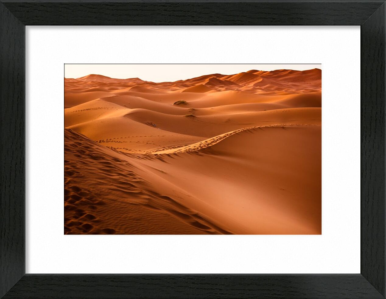 Merzouga de Aliss ART, Prodi Art, Aube, désert, dune, or, chaud, paysage, maroc, sable, soleil, couché de soleil, Voyage, sec, Marrakech, dune de sable