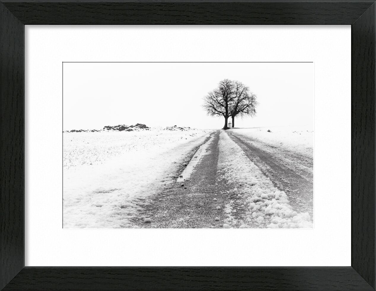 La Fin du Chemin de Eric-Anne Jordan-Wauthier, Prodi Art, neige, paysage, Photographie, Hivers, HighKey