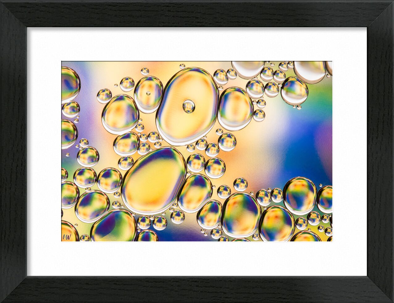 Oily bubbles #4 from Mickaël Weber, Prodi Art, yellow, blue, color, droplets, goutelettes, Bulles, drops, modern, modern, water, water, shapes, formes, fun, oily, oil, huile, green, macro, abstract, bebbles