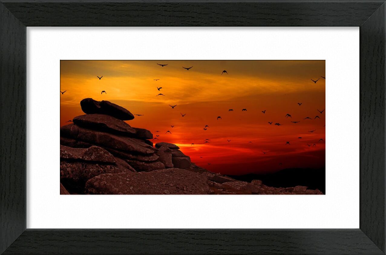 Flying to the Sunset from Pierre Gaultier, Prodi Art, sunset, sunrise, silhouette, scenic, rocks, landscape, flying, flock, dusk, dawn, birds
