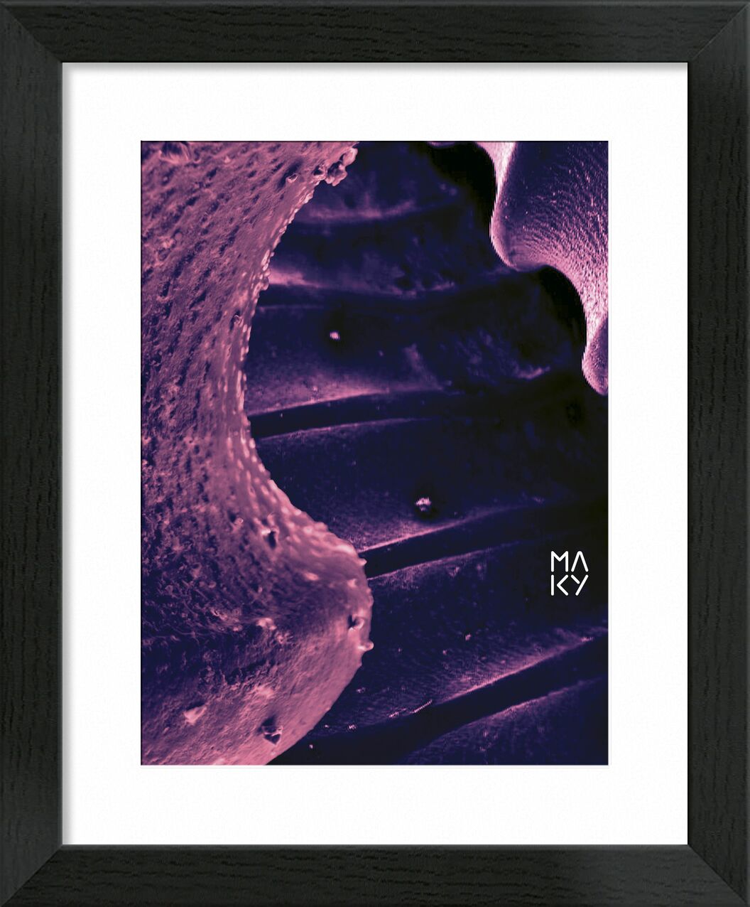 気4.1 from Maky Art, Prodi Art, digital collage, visual art, texture, electron microscopy, shell