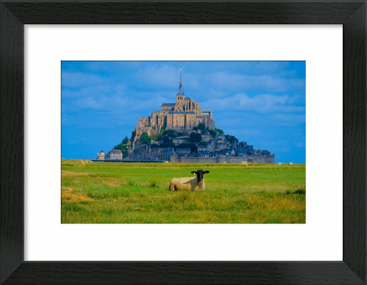 Le Mont Saint Michel de Adrien Guionie, Prodi Art, Normandie, bretagne, Le mont Saint michel, Moutons, couleurs