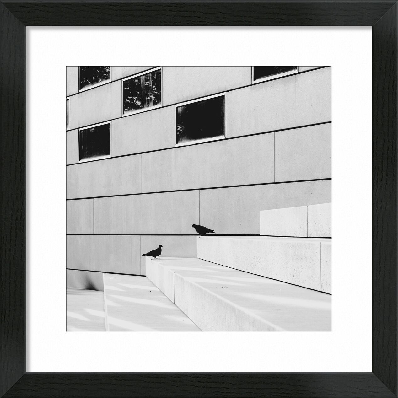 Les ombres de Adrien Guionie, Prodi Art, oiseaux, noir et blanc, bordeaux, ombre