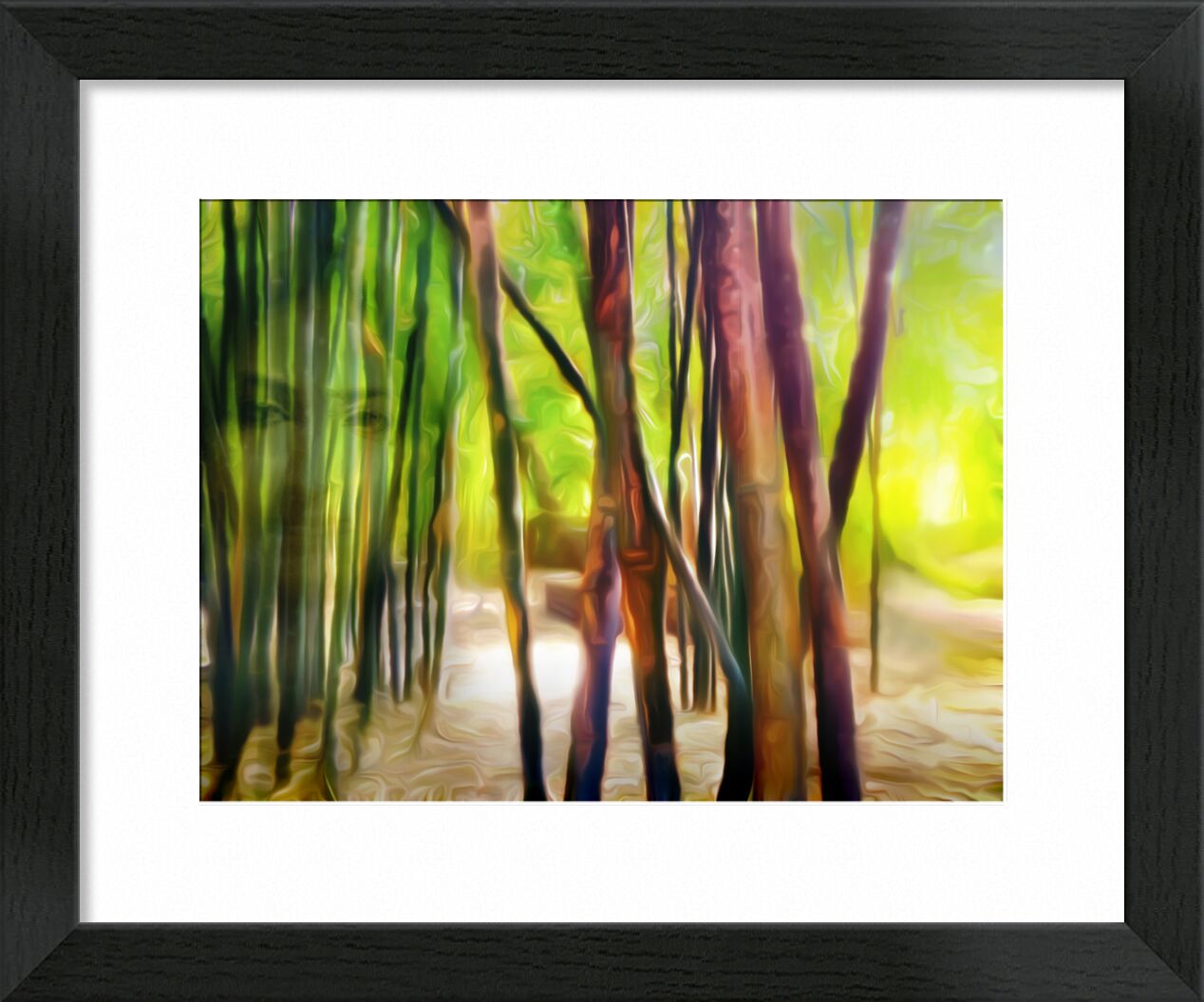 Derrière les bambous de Adam da Silva, Prodi Art, forêt, lumière, vert, marron, visage, femme, bambous, bambouseraie, sable