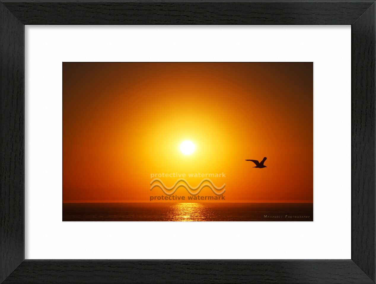Instant magique... de Mayanoff Photography, Prodi Art, silhouette, ciel, Orange, couleurs, nature, coucher de soleil, oiseau, mouette, océan, soleil