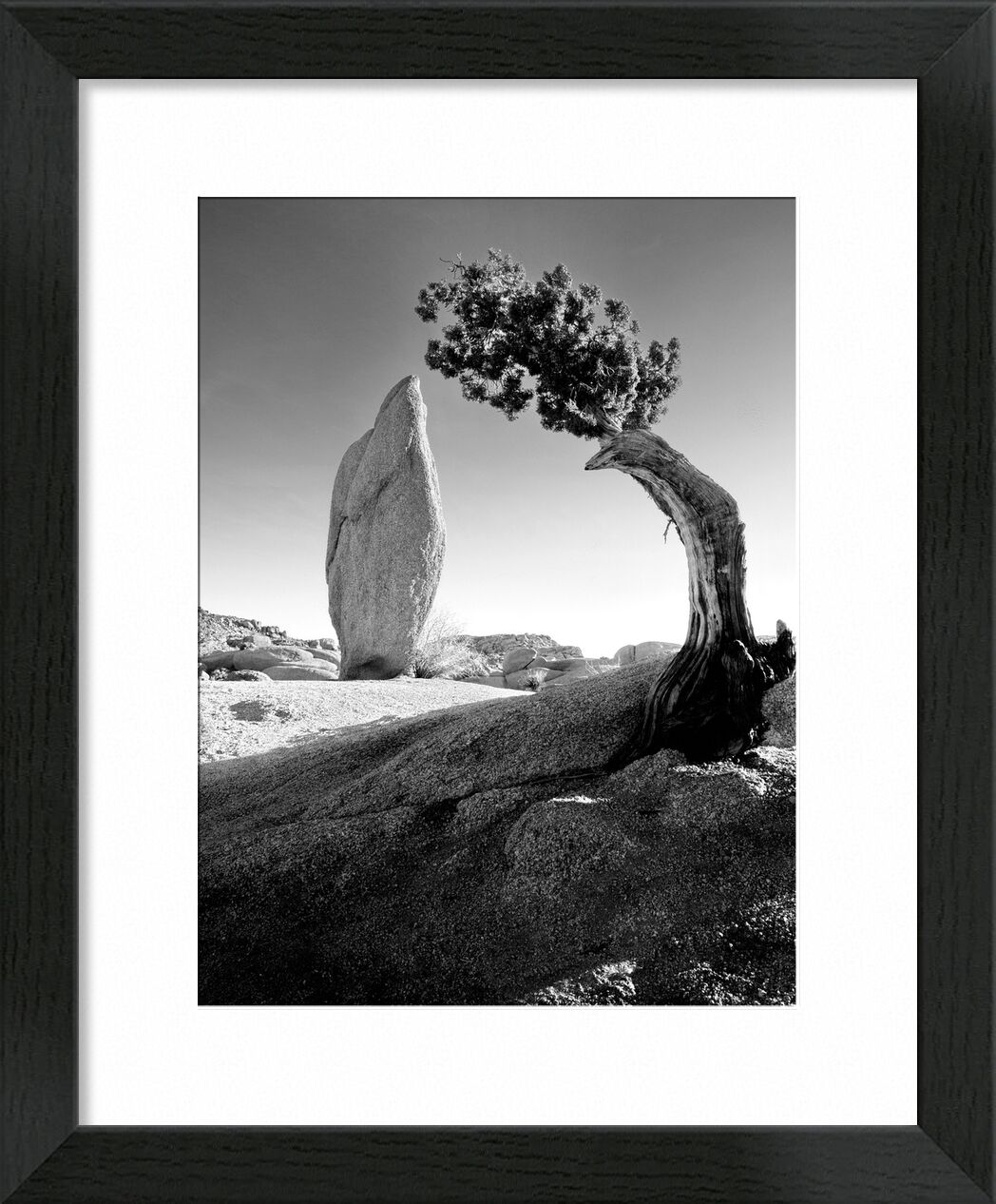 Tannenbaum und Felsbrocken, Sierra Mountains, Yosemite Kalifornien - Ansel Adams von Bildende Kunst, Prodi Art, adams, ANSEL ADAMS, Stift, Baum, bloc, Rock, Berge, Kalifornien