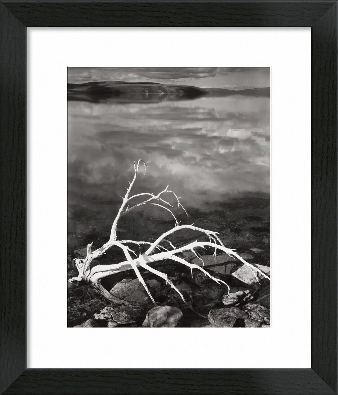 Weiße Zweige, Mono Lake aus Portfolio VII, 1950 - Ansel Adams von Bildende Kunst, Prodi Art, Geäst, See, ANSEL ADAMS, Reflexionen, Wolken, Stillleben