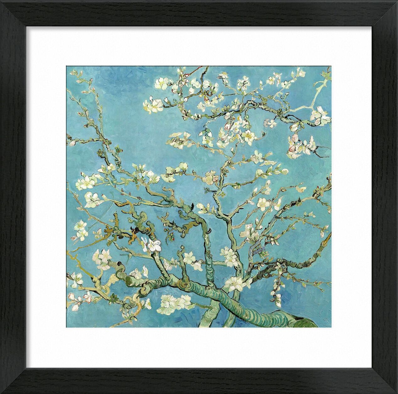Almond Blossom, Saint-Rémy - VINCENT VAN GOGH 1890 desde Bellas artes, Prodi Art, árbol floreciente, VINCENT VAN GOGH, naturaleza, flores, rama, árbol, pintura