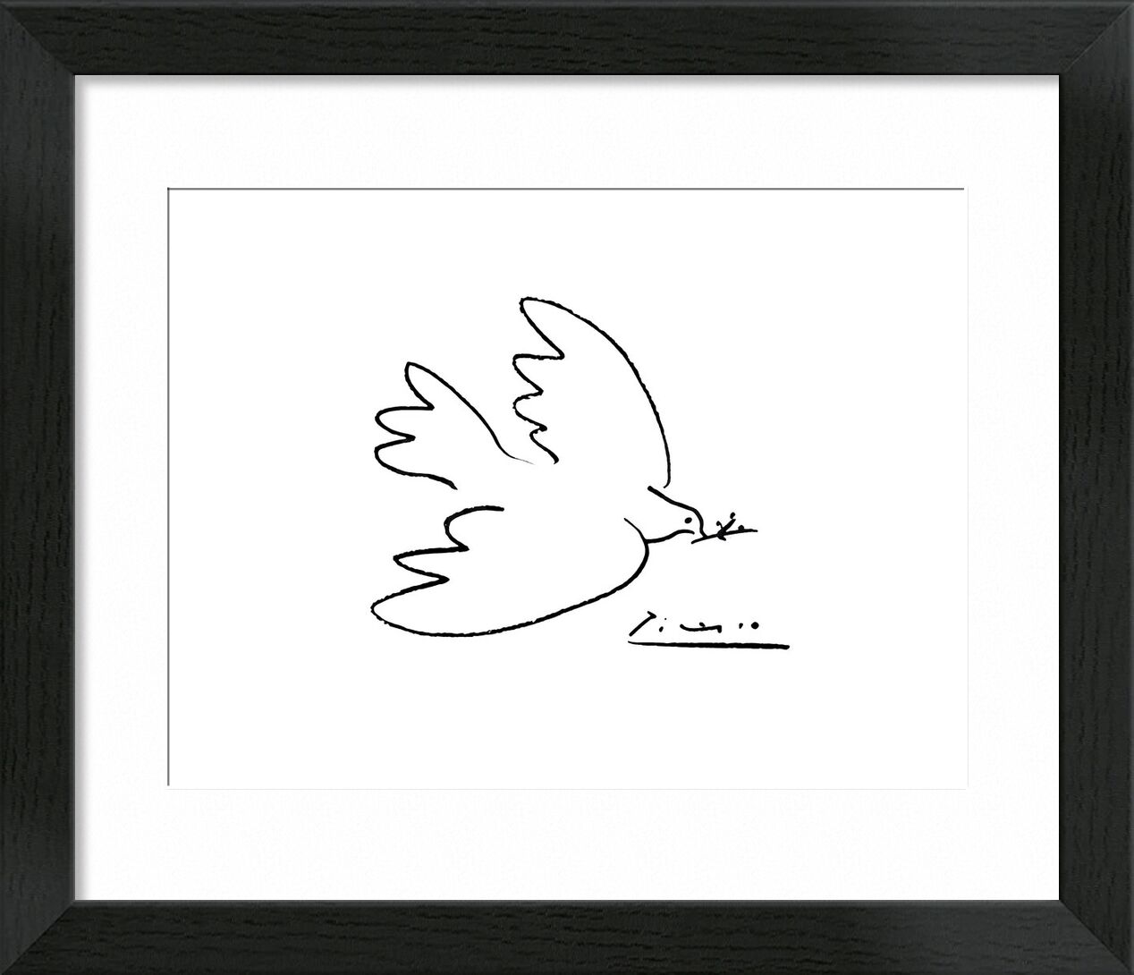 Dove of peace - PABLO PICASSO von Bildende Kunst, Prodi Art, PABLO PICASSO, Bleistiftzeichnung, Taube, Zeichnung