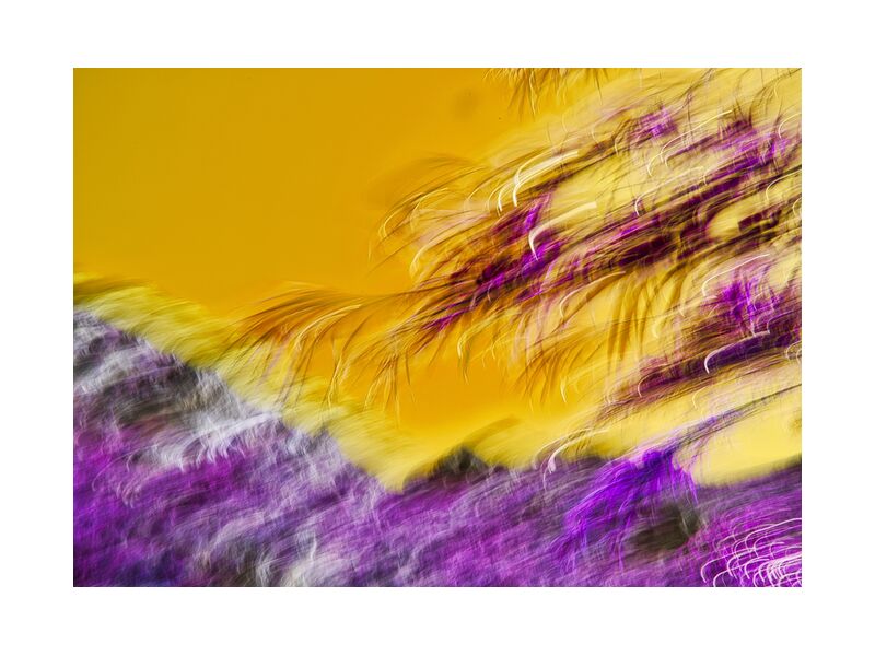 Branches en ICM de Céline Pivoine Eyes, Prodi Art, paysage, nature, arbre, jaune, violet, branches, flou artistique, Photographie abstraite, art abstrait, Mouvement intentionnel de la caméra, ICM, Violet et jaune
