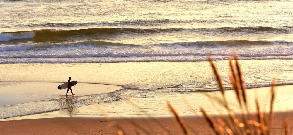 Came de Romain DOUCELIN, Prodi Art, le surf, des sports, nature, océan, eau, France, pays, plage, herbe, soleil, coucher du soleil, homme, gens, gens, insolite, vague, planche, loisir, vie quotidienne, SURFEUR, LANDAISE, ENVIRONEMENT, PLANCHE DE SURF