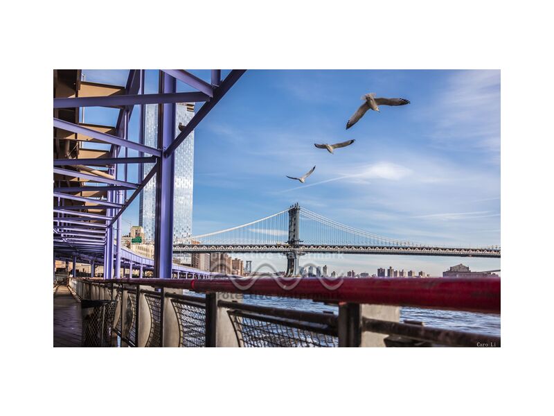 Pont de Manhattan de Caro Li, Prodi Art, NY, Pont de Manhattan, Photographie, pont, la photographie, USA, états-unis, New York