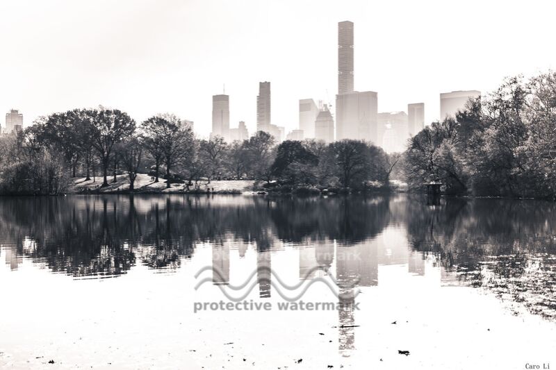 Central Park  -  New York from Caro Li Decor Image