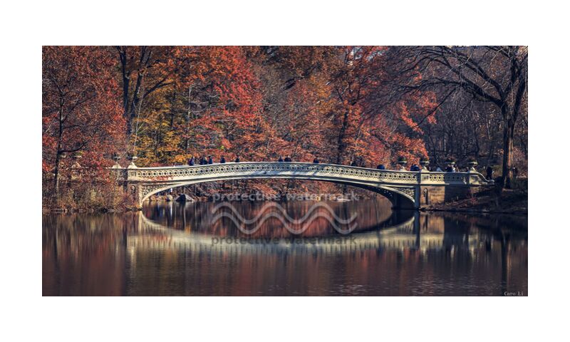 Central Park - Bow Bridge de Caro Li, Prodi Art, New York, NY, USA, états-unis, Photographie, la photographie, Cher Li, Central Park - Bow Bridge