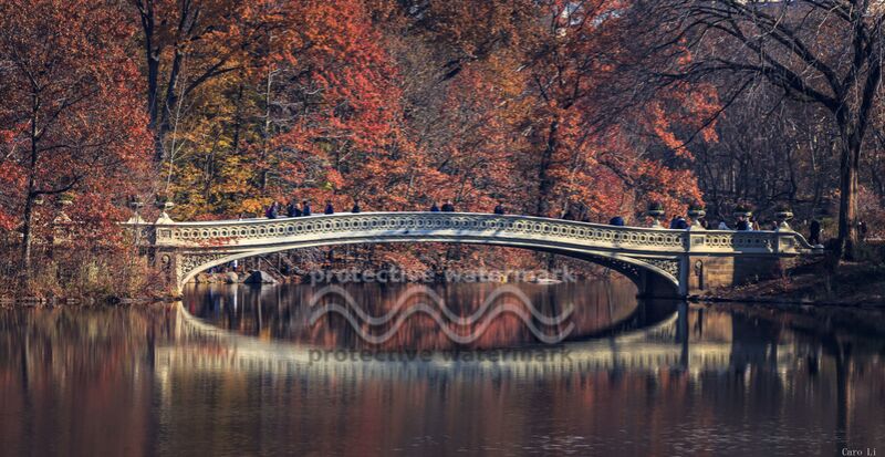 Central Park - Bow Bridge de Caro Li Decor Image