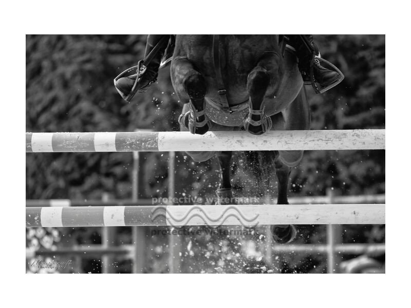 Le franchissement de Mayanoff Photography, Prodi Art, équestre, cheval, concours, obstacles, équestre, cheval, sauter, concurrence, jumping, cavalier, saut, cavalier