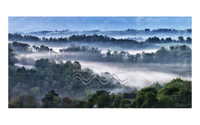 Foggy morning from Mayanoff Photography, Prodi Art