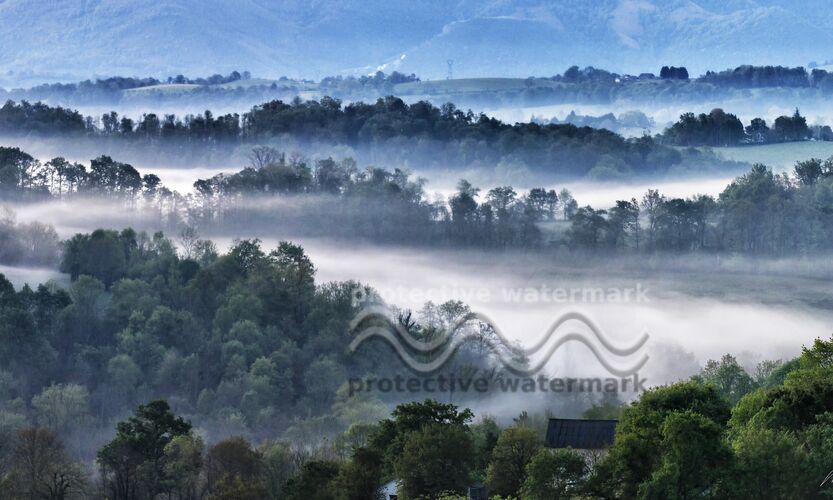 Matin brumeux de Mayanoff Photography, Prodi Art, brumes, forêt, arbres, matin, brouillard, vallons, collines