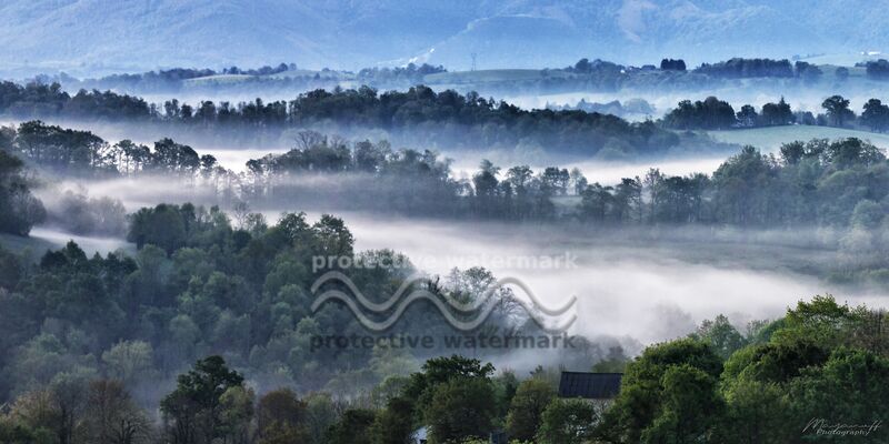 Foggy morning from Mayanoff Photography Decor Image