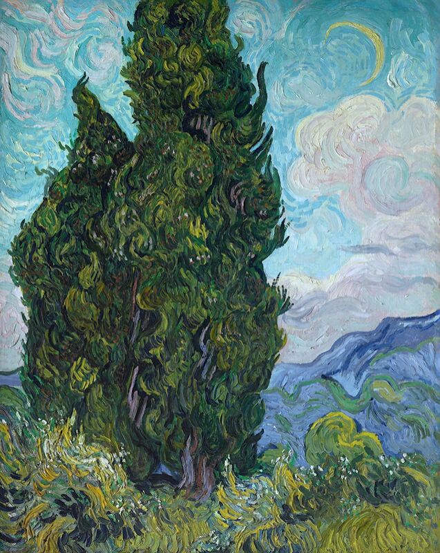 Cypresses desde Bellas artes Decor Image