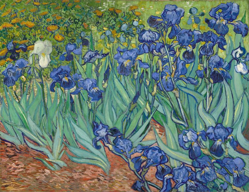 Irises desde Bellas artes Decor Image