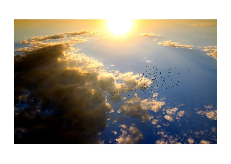 Flying over the Sun from Pierre Gaultier, Prodi Art, sunset, birds, cloud, Sun, sky, red