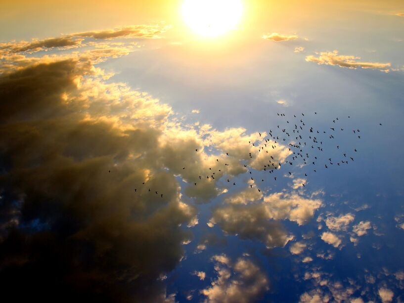Vol au dessus du soleil de Pierre Gaultier, Prodi Art, couché de soleil, des oiseaux, nuage, soleil, ciel, rouge