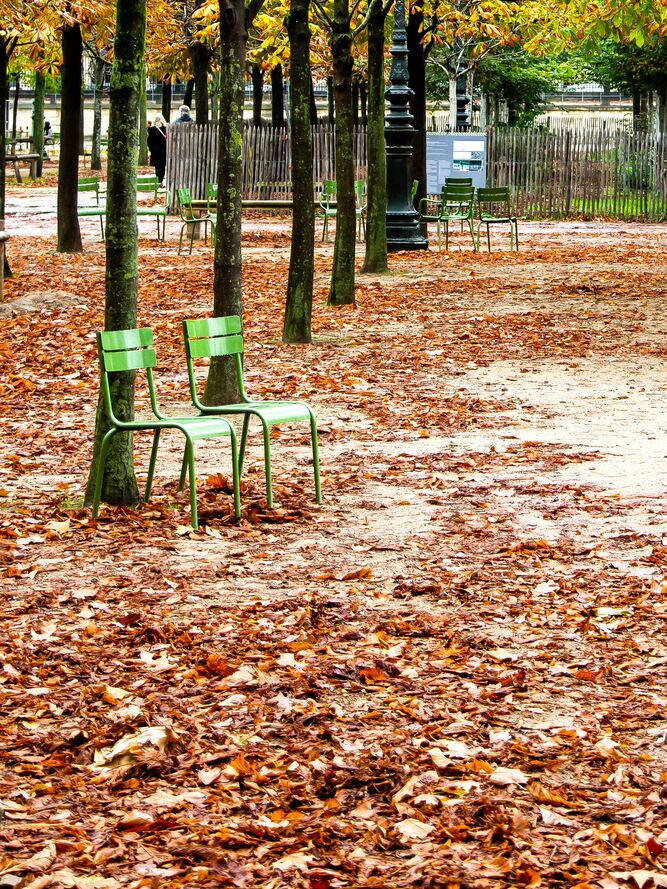 Jardin des Tuileries, Paris de Octav Dragan, Prodi Art, automne, feuilles, paris, l&#39;automne, feuilles, chaises, chaises