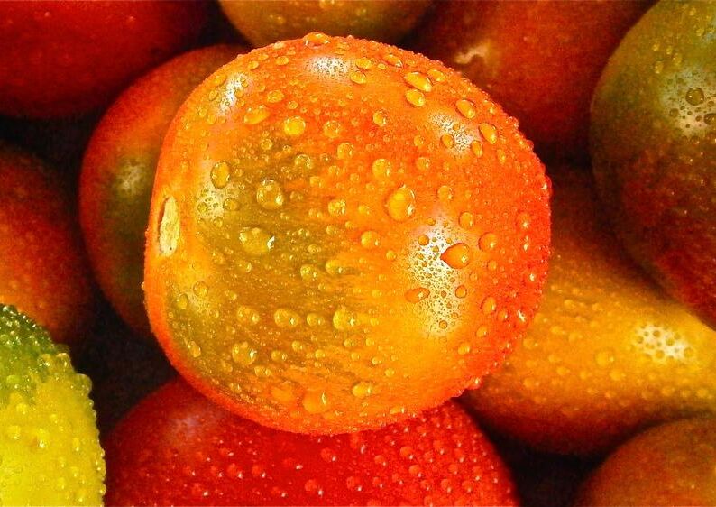 Tomates mouillées de Pierre Gaultier, Prodi Art, gouttes d'eau, humide, des légumes, tomates, macro, Ingrédients, en bonne santé, fruits, Frais, nourriture, Couleur
