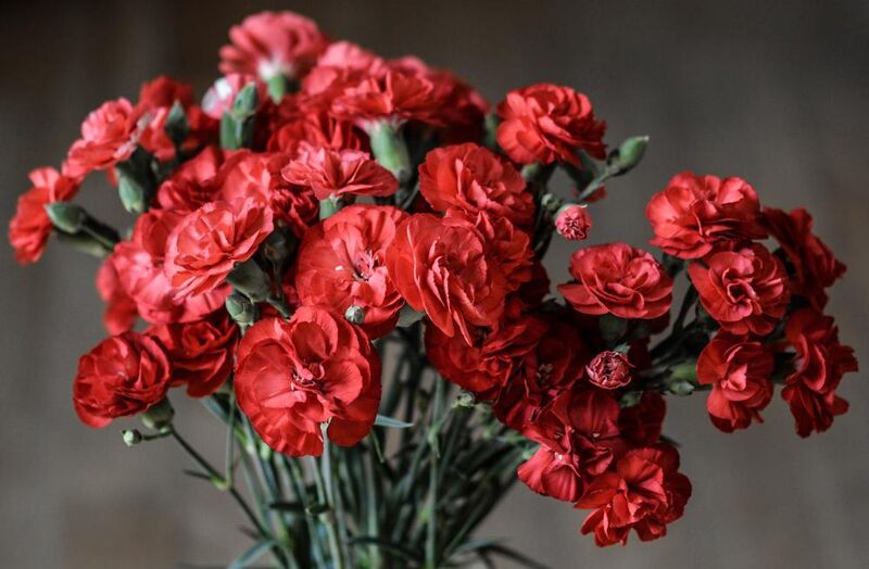 Bouquet de roses de Pierre Gaultier Decor Image