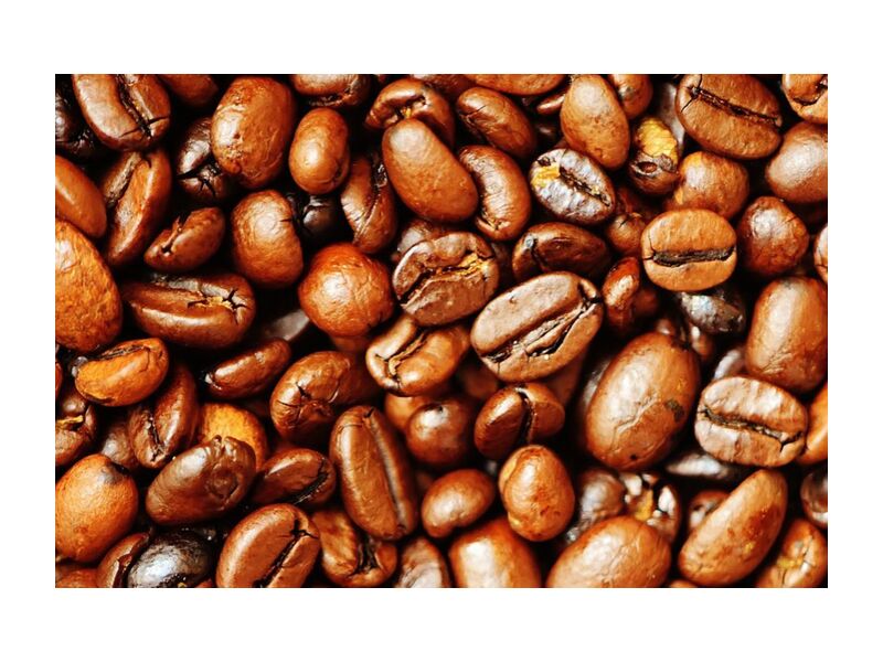 Nos grains de café de Pierre Gaultier, Prodi Art, rôti, grains de café, café, caféine, marron