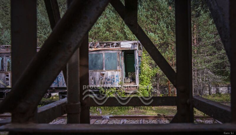 The Train de Caro Li Decor Image