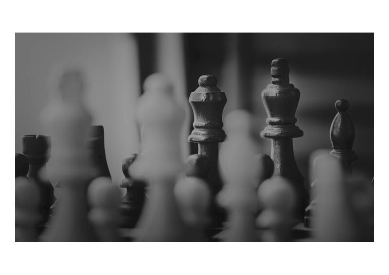 The part from Aliss ART, Prodi Art, chess pieces, queen, pawn, mind game, knight, king, game, chessboard, chess, board game, strategy, black-and-white