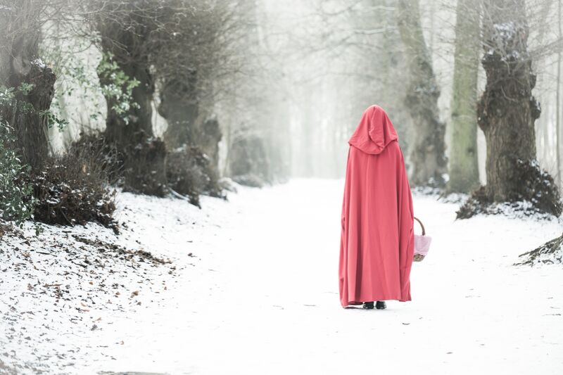 Promenade dans le bois de Eric-Anne Jordan-Wauthier Decor Image