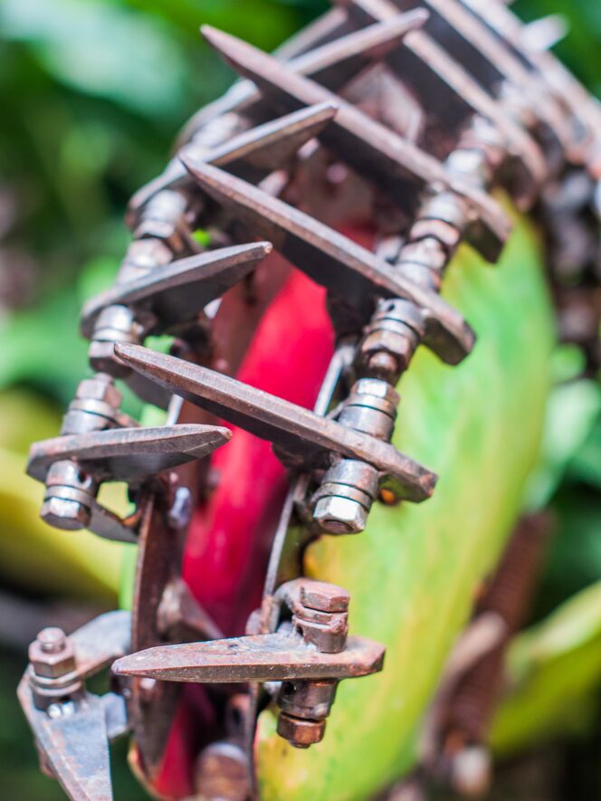 Plante carnivore Art - serre tropicale de Marie Guibouin, Prodi Art, serre tropicale, machines de l'ile, nantes, métal, sculpture, plante, art, marie guibouin, plante carnivore
