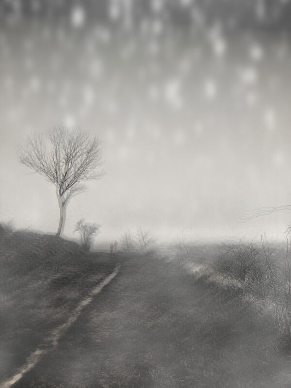The winter path from Adam da Silva Decor Image