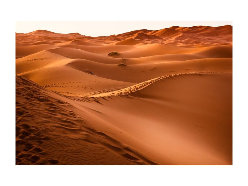 Merzouga de Aliss ART, Prodi Art, Aube, désert, dune, or, chaud, paysage, maroc, sable, soleil, couché de soleil, Voyage, sec, Marrakech, dune de sable
