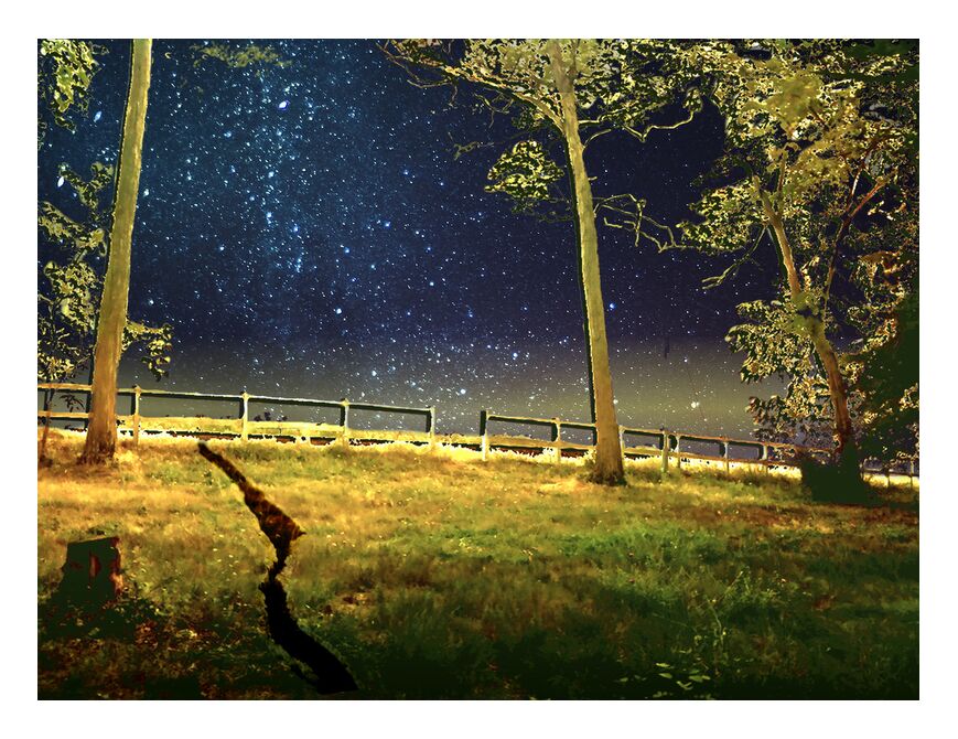 The gate from Adam da Silva, Prodi Art, night, stars, trees, meadow, blue