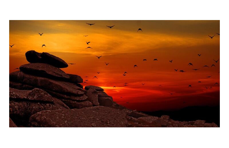 Flying to the Sunset from Pierre Gaultier, Prodi Art, sunset, sunrise, silhouette, scenic, rocks, landscape, flying, flock, dusk, dawn, birds