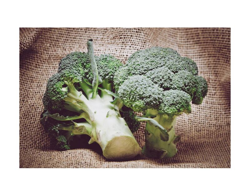 Broccoli from Pierre Gaultier, Prodi Art, vegetarian, vegetable, stalk, salad, raw, organic, nutrition, leaf, ingredient, healthy, health, grow, green, freshness, fresh, food, flora, farm, eat, diet, detail, delicious, cooking, cook, color, -up, close up, broccoli, agriculture