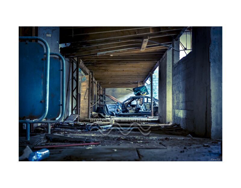 The Car from Caro Li, Prodi Art, Urbex, Dear Li, Photography, abandonned, abandoned places, car