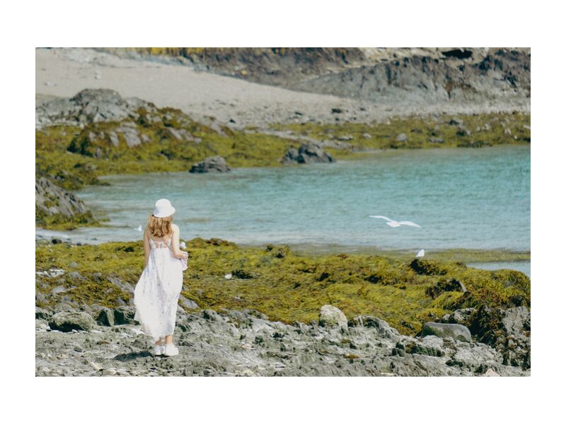 La fille de l'océan de Adrien Guionie, Prodi Art, Couleur, oiseau, liberté, océan