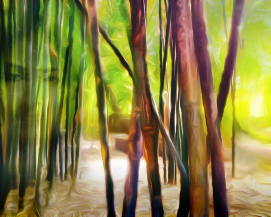 Behind the bamboos from Adam da Silva, Prodi Art, forest, light, green, brown, face, woman, bamboo, bambouseraie, sand
