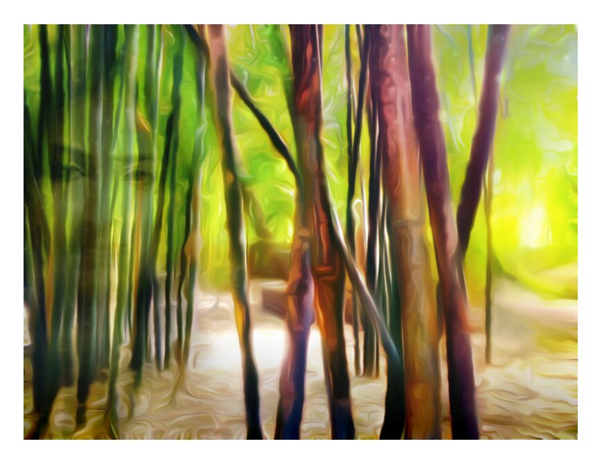 Behind the bamboos from Adam da Silva, Prodi Art, forest, light, green, brown, face, woman, bamboo, bambouseraie, sand